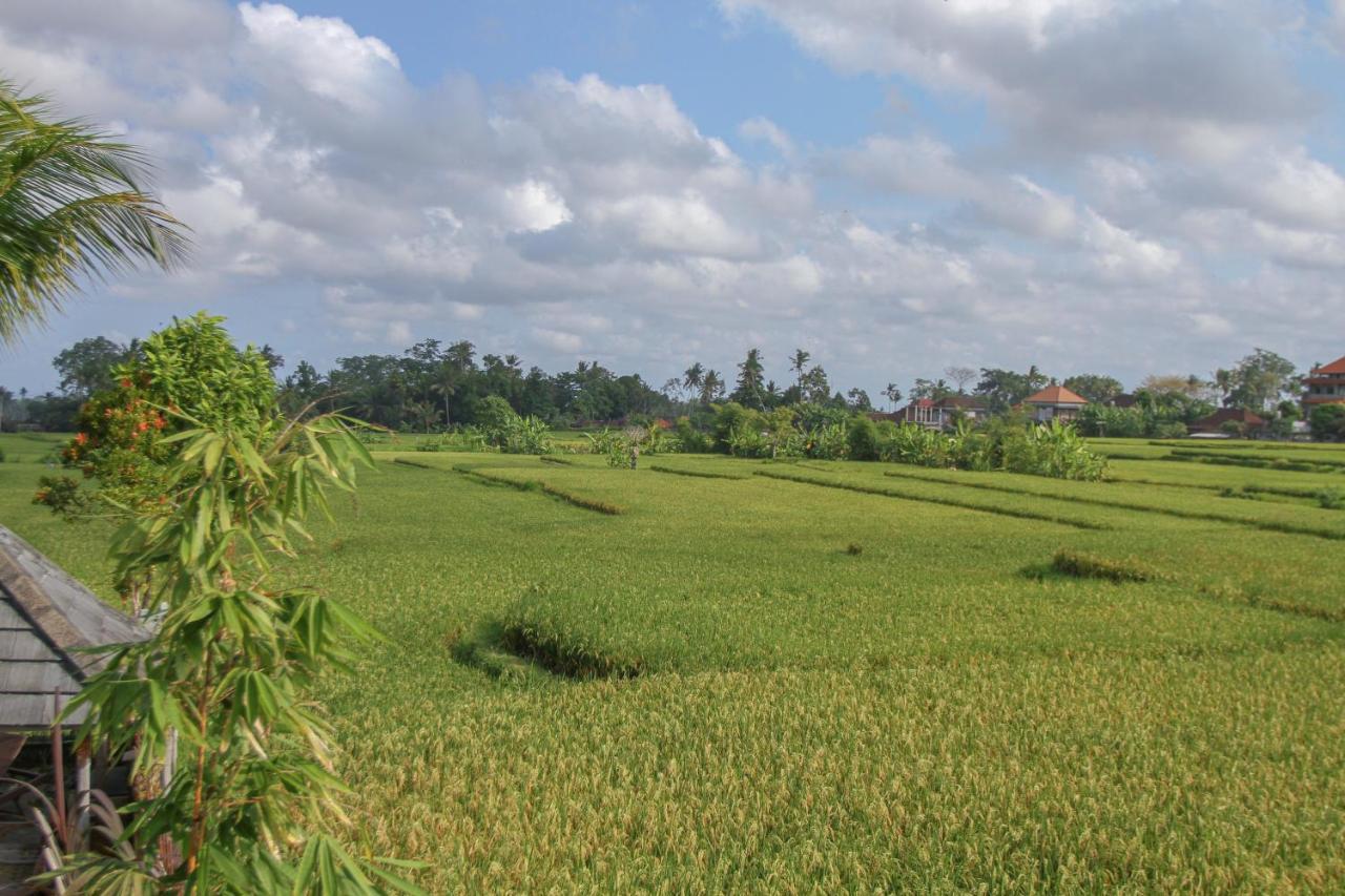 Kubu Sari Ubud ภายนอก รูปภาพ