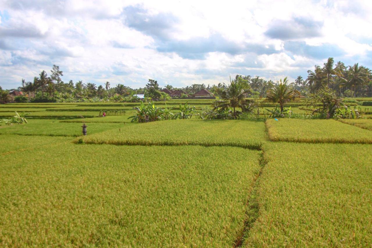 Kubu Sari Ubud ภายนอก รูปภาพ