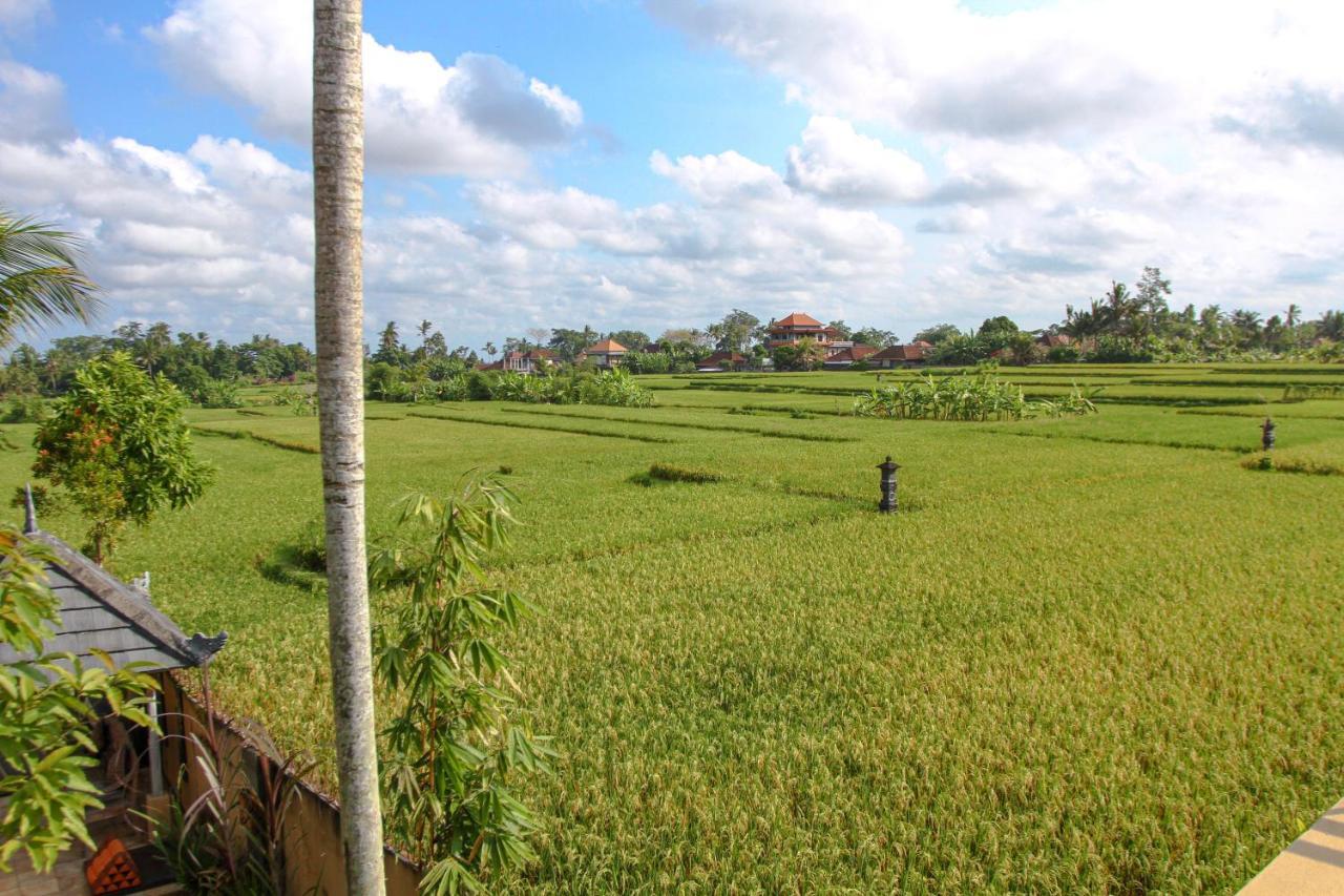 Kubu Sari Ubud ภายนอก รูปภาพ
